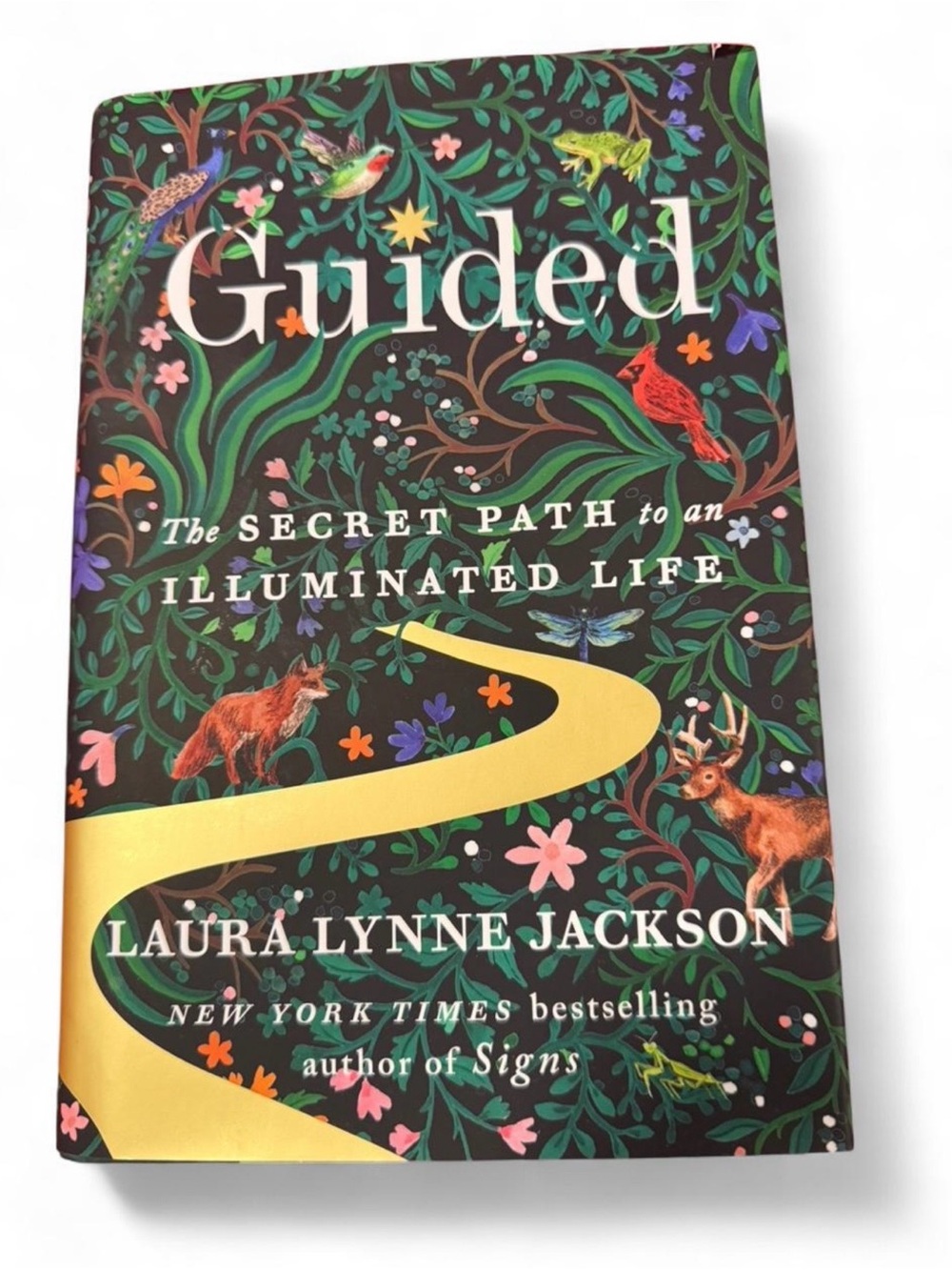 Guided The secret path to an Illuminated Life  by Laura Lynne Jackson